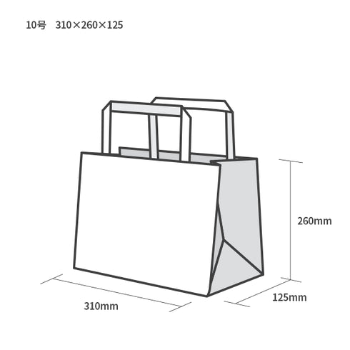印刷手提げ袋 / クラフト紙平紐 10号310x260x125