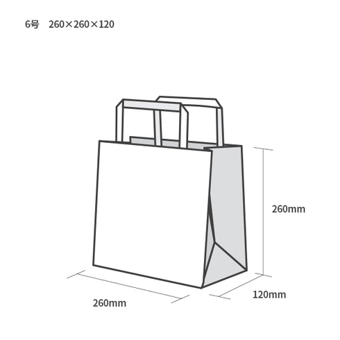 印刷手提げ袋 / クラフト紙平紐 6号260x260x120